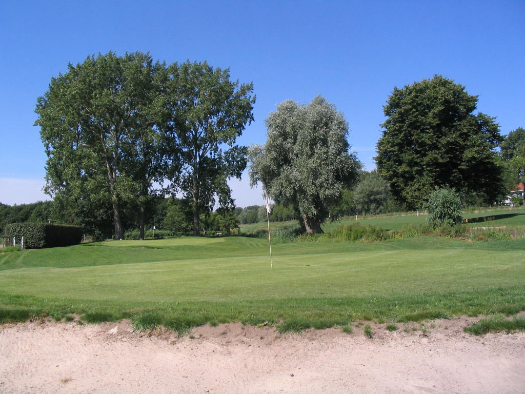 IMG 0059